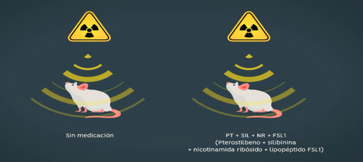 Combinación de sustancias para prevenir, mejorar o reducir las enfermedades inducidas por radiación